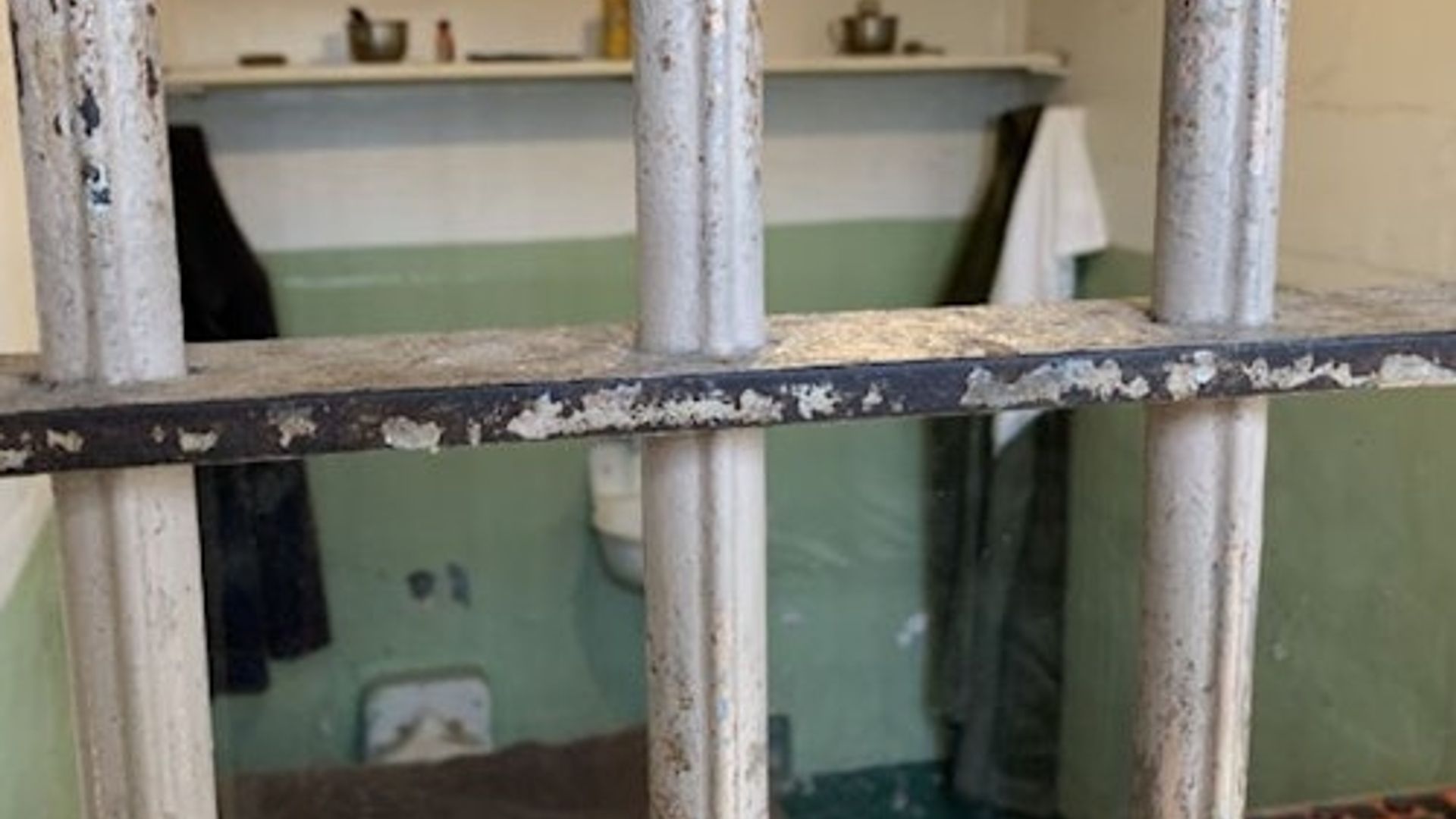 Alcatraz: Night Audio Tour + Muir Woods & Sausalito Guided Visit image 2