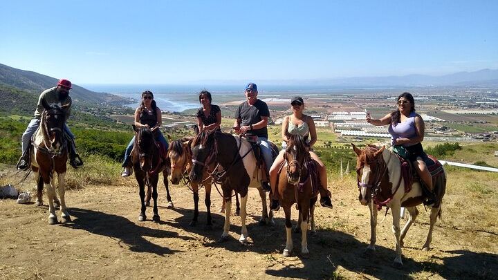 Ensenada Horseback Riding Adventure