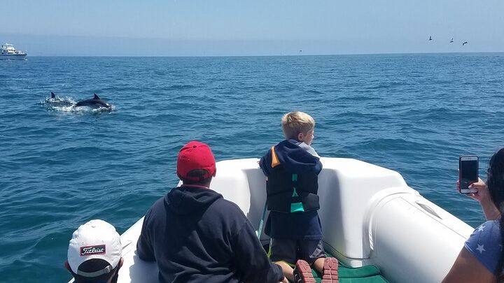 Private Newport Beach Whalewatching Tour
