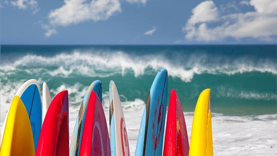 Surf Lesson at Venice Beach