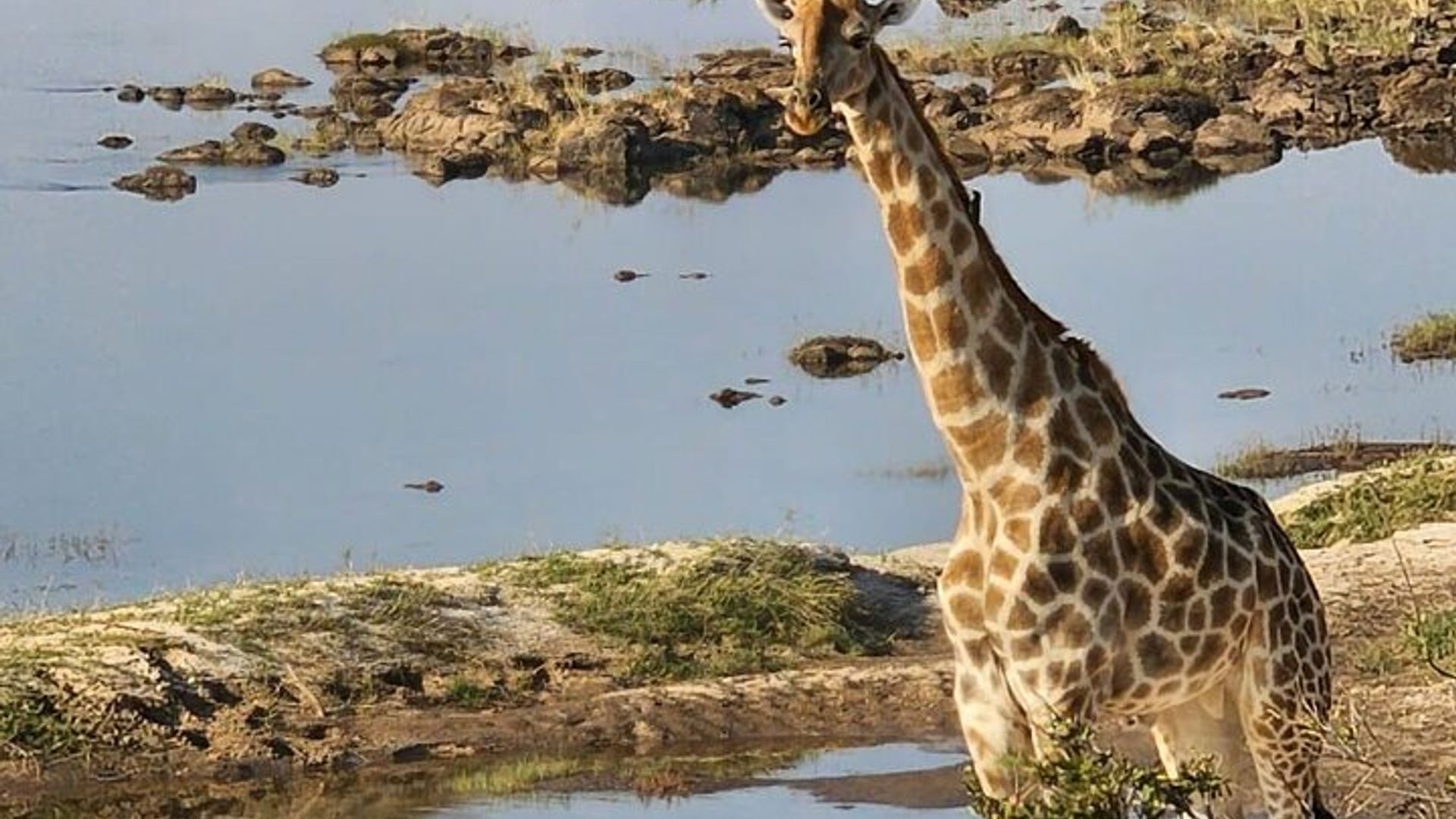 Victoria Falls Safari Tour Full Day