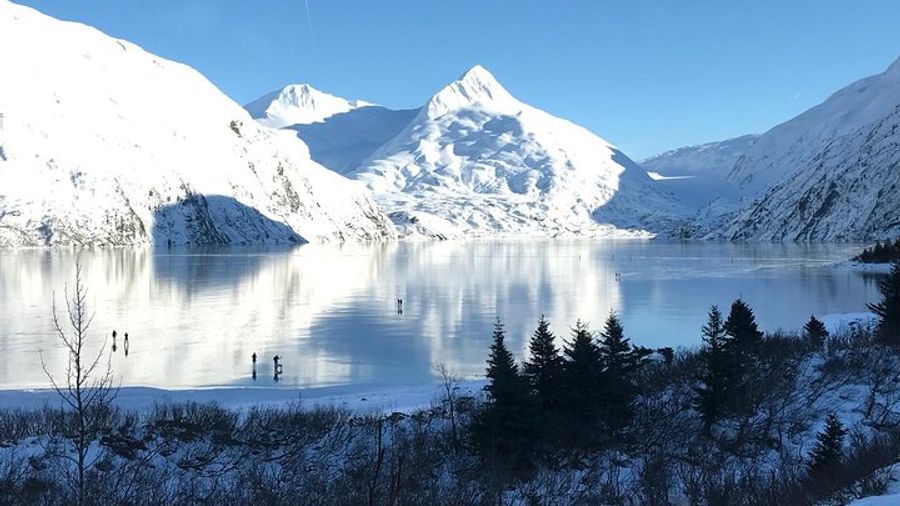 Alaska Wildlife Conservation Center & Turnagain Arm Tour