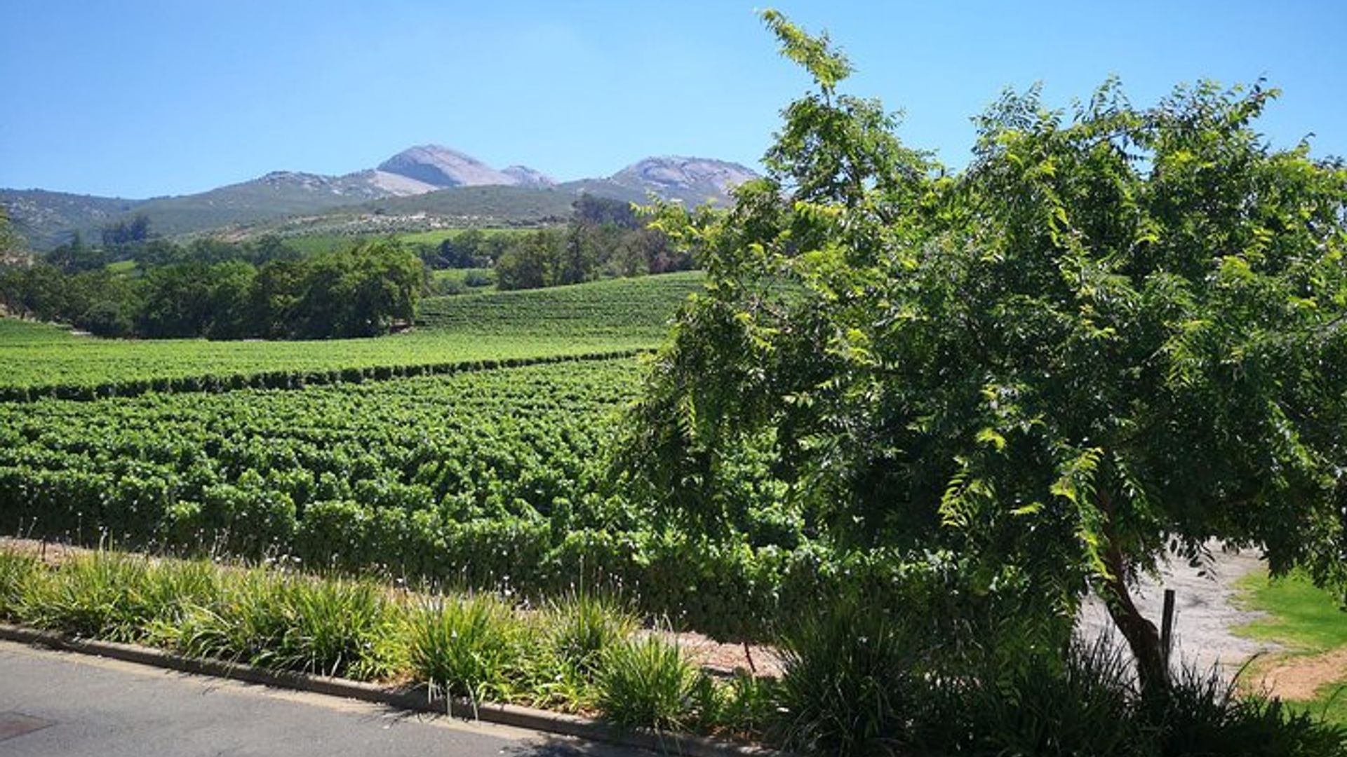 Private ganztägige Verkostungstour durch Kapstadt