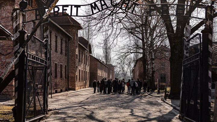 Auschwitz-Birkenau Guided Tour and Krakow Private Transfer