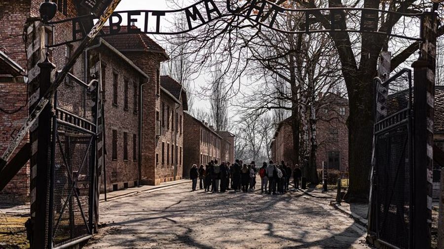 Auschwitz-Birkenau Guided Tour and Krakow Private Transfer