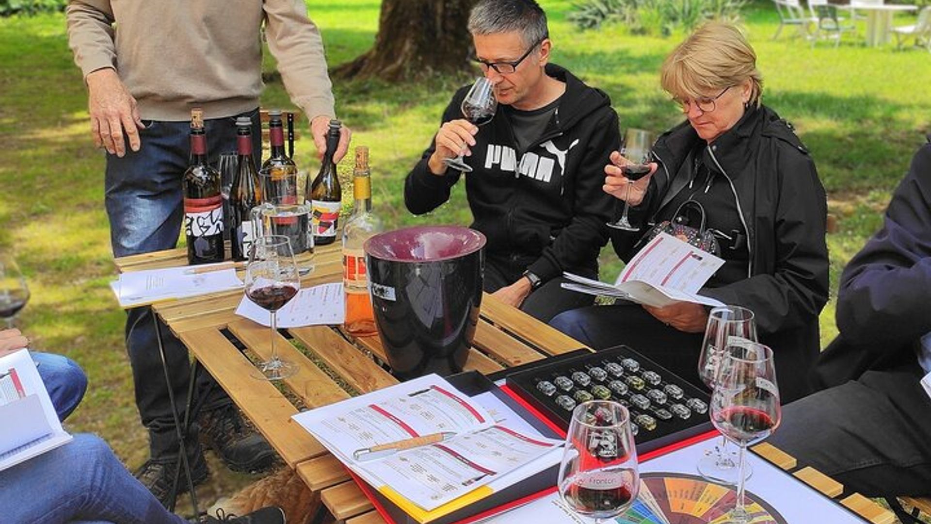 Gaillac Small Group Wine Tour from Toulouse