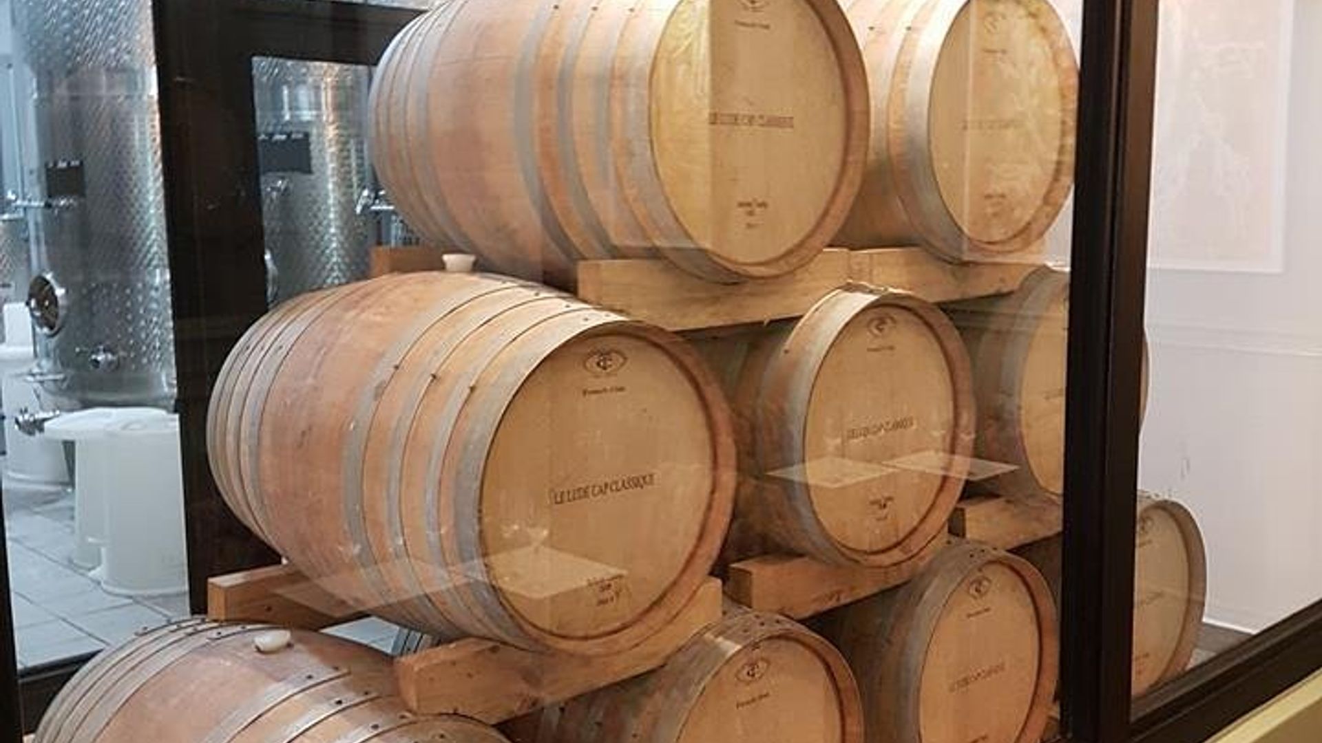 Visite privée du vin dirigée par un expert à Stellenbosch / Franschhoek