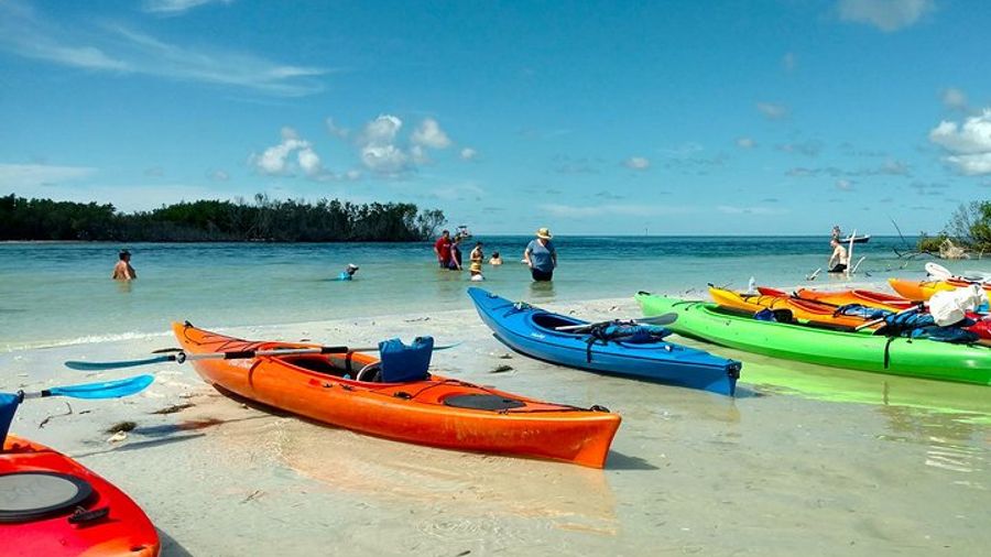 Shell Key Preserve & Island Kayak Adventure With a Local Guide