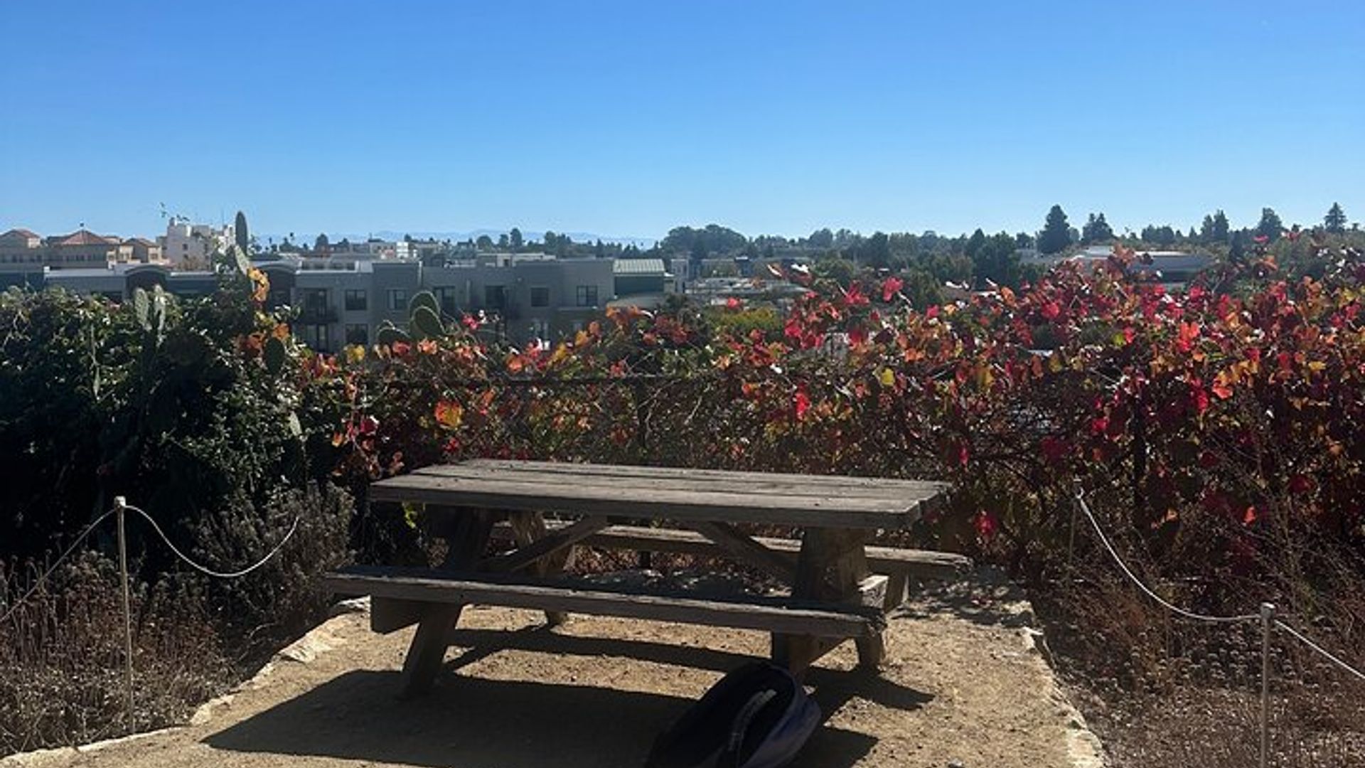 Tour a pie por Santa Cruz : Descubre Downtown & Mission Hill