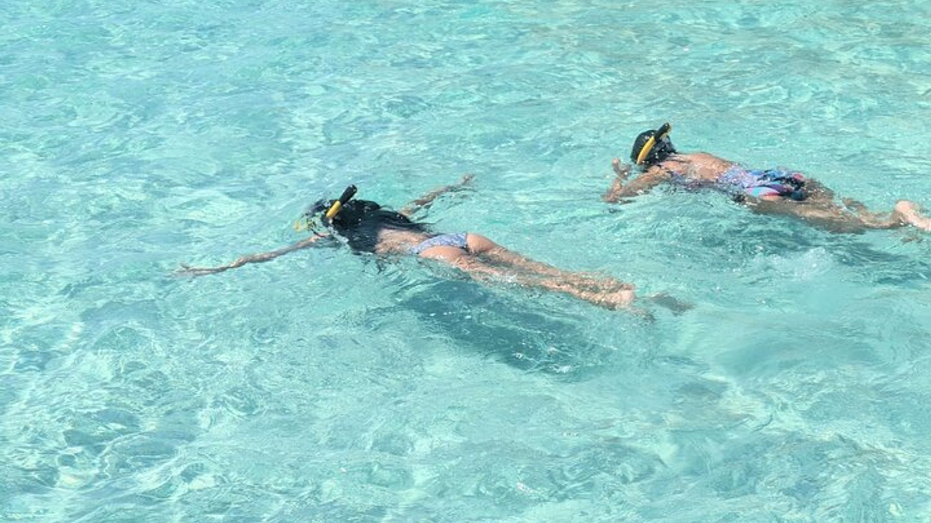 Crab Island Customizable Private Captained Boat Charter