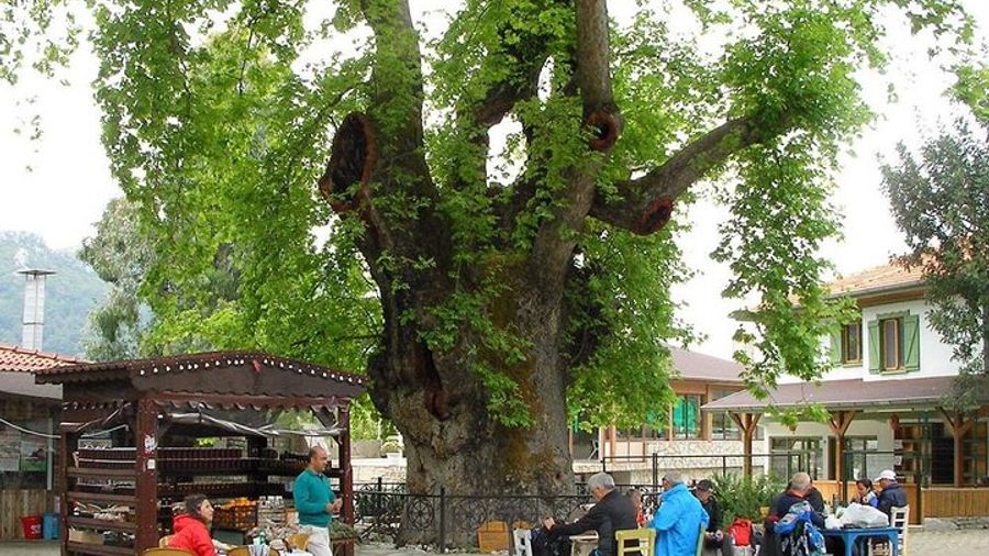 Marmaris Village Tour with Waterfalls & Visit Jesus Beach