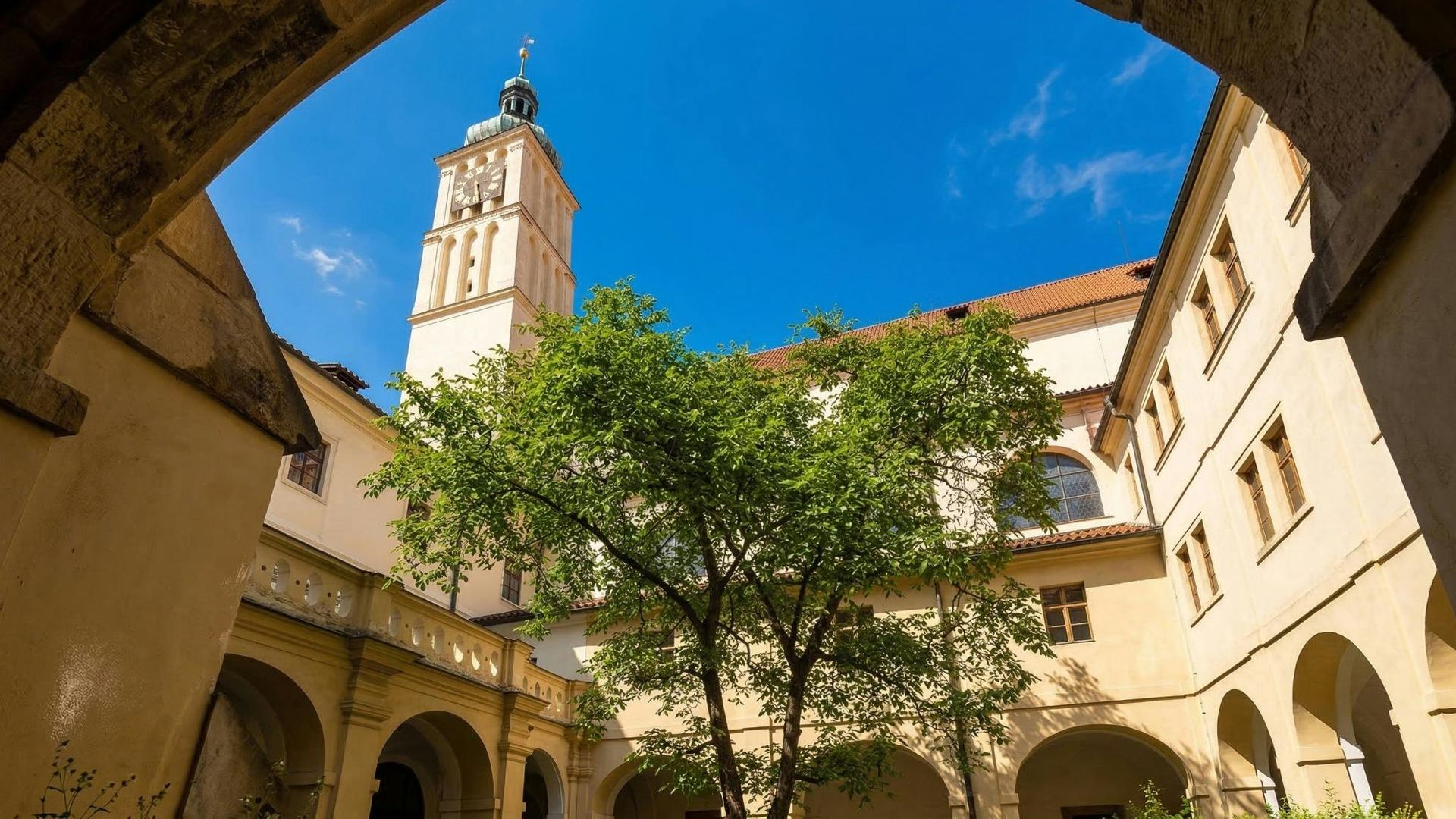 Basilica of St James and Minorite Friary 3-hours tour in Prague