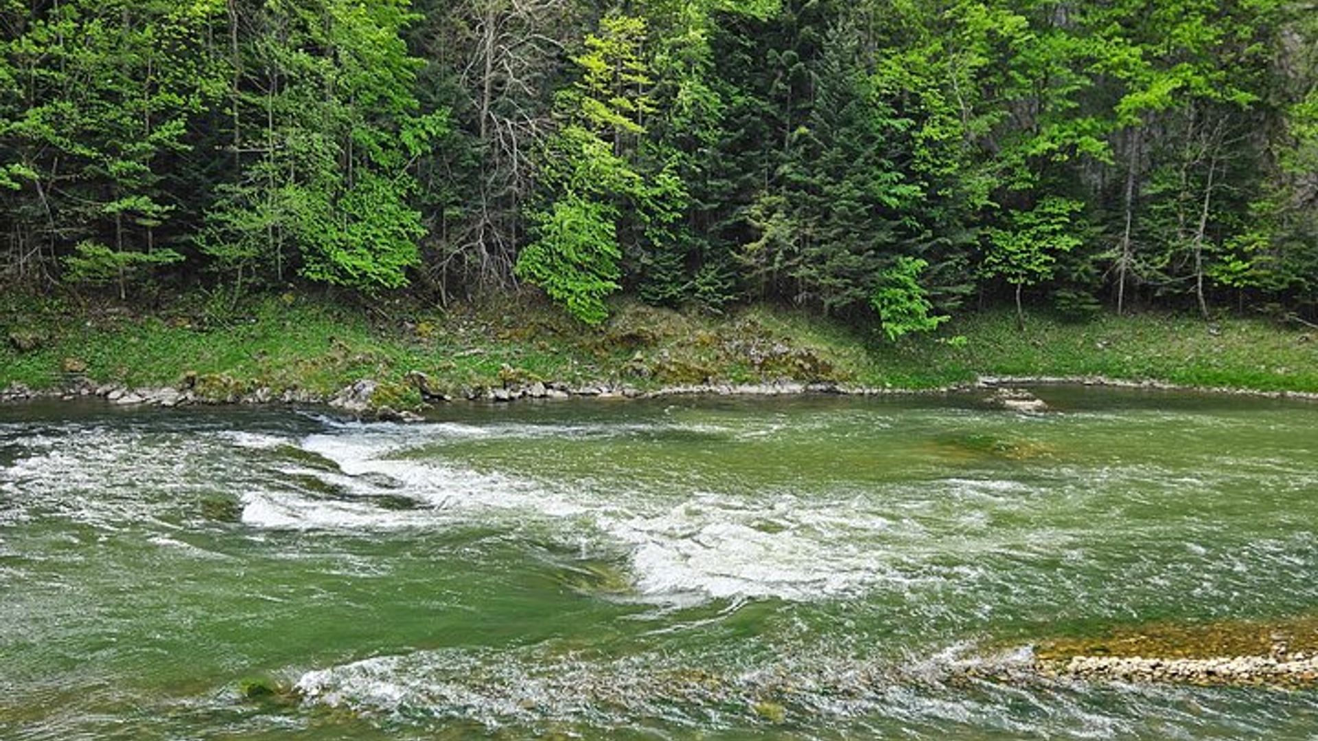 Rafting sur la rivière Dunajec et visite privée de Zakopane au départ de Cracovie