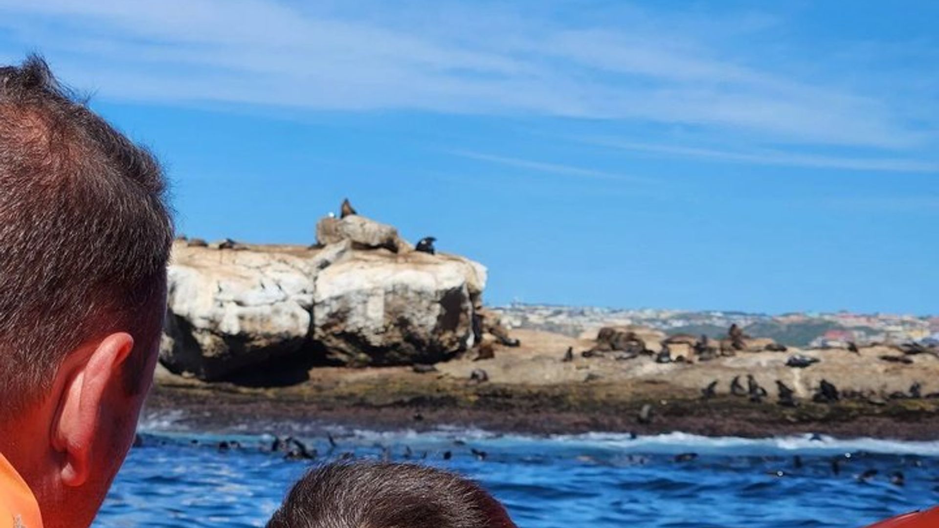 Visite de Seal Island Mossel Bay