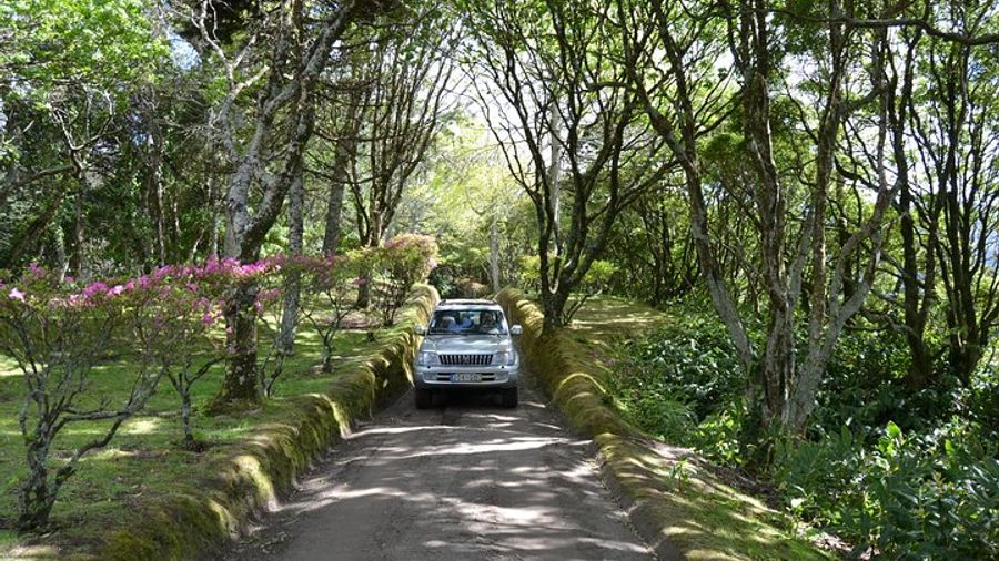 8-Hour Private Tour in 4x4 Vehicle from Ponta Delgada