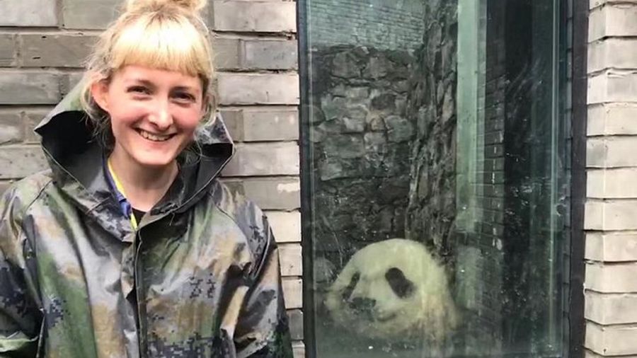Dujiangyan Panda Base Tour Volunteer Experience with Lunch