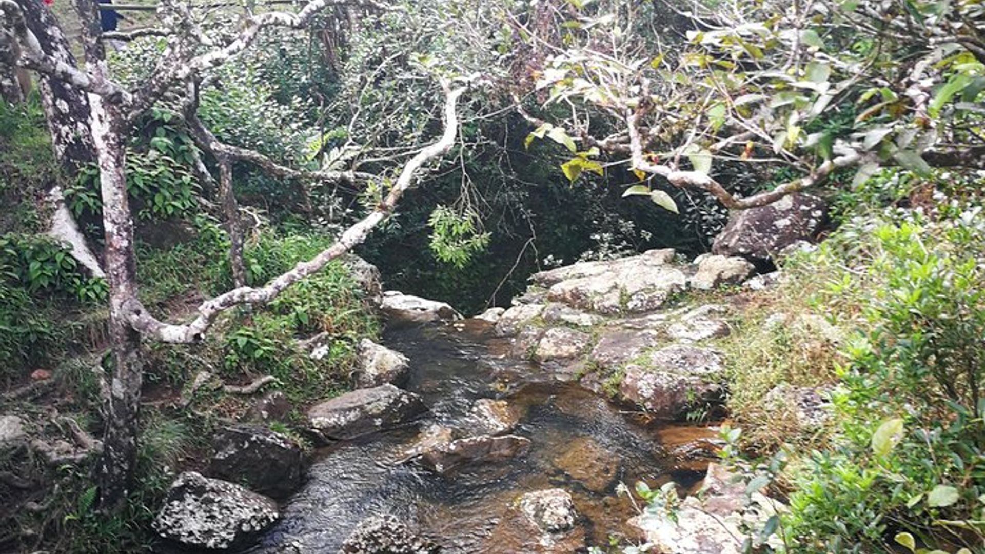 Visite privée de l'île Maurice