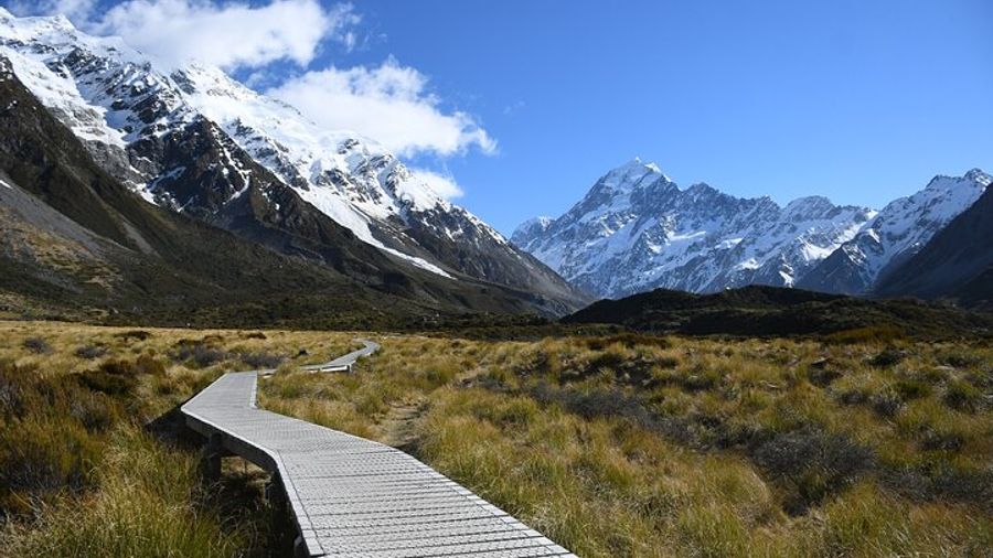 1-Day Tour: Christchurch to Mt. Cook, Tekapo, Tasman Glacier