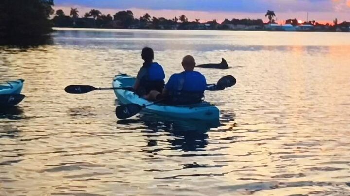 Kayak Tours and Rentals. Dolphins, Manatees, and Bioluminescence!