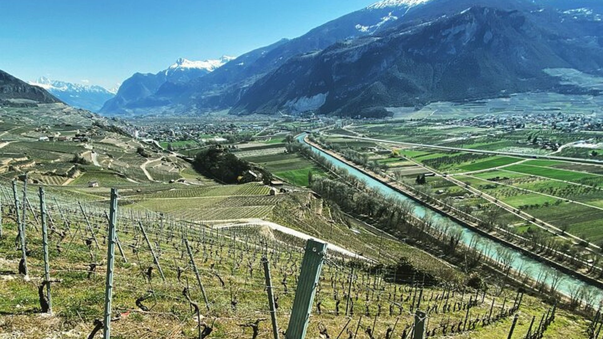 Paseo por los viñedos, cena y vino en Sion