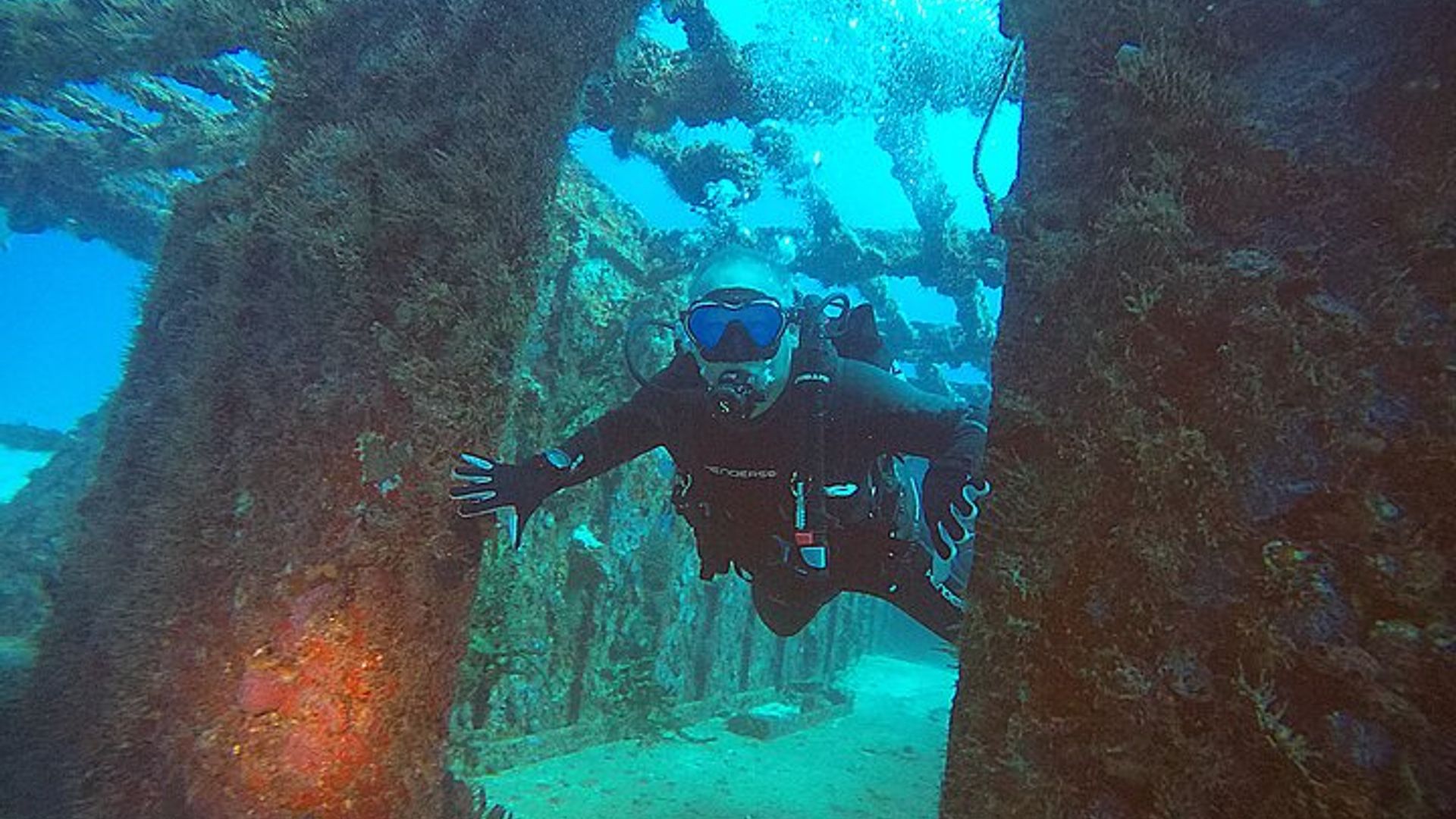 Shipwreck and Reef Dive Experience for Certified Divers image 3