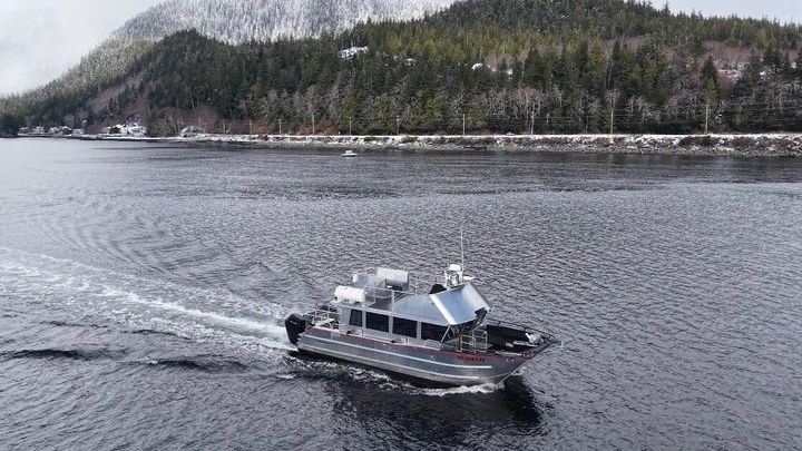 Whales and Lunch! Ketchikan's Premier Marine Mammal Viewing Tour