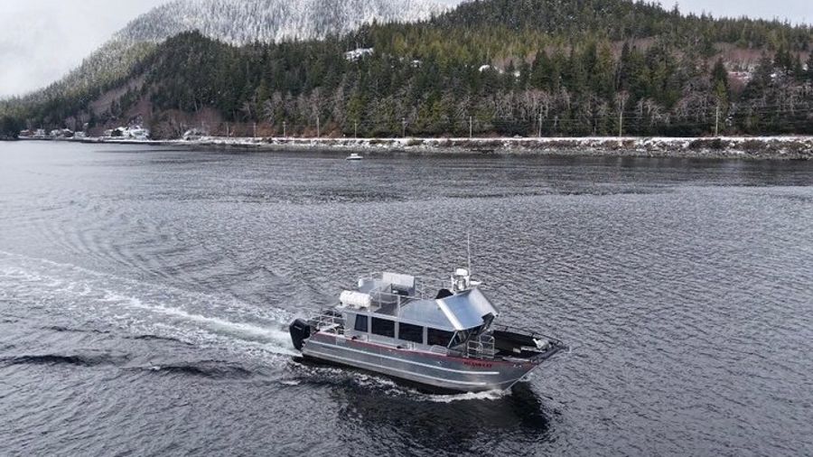 Whales and Lunch! Ketchikan's Premier Marine Mammal Viewing Tour