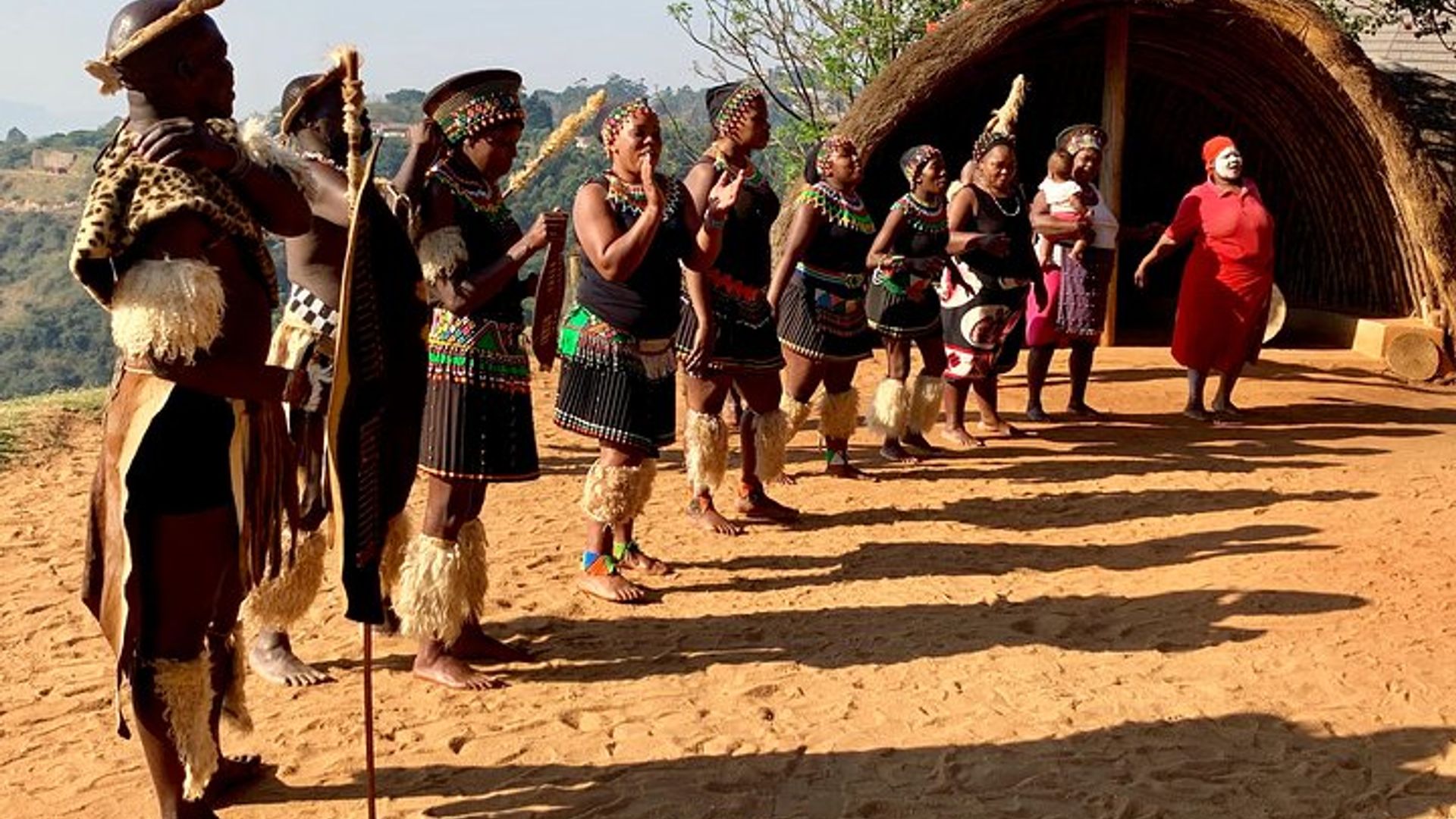 Durban Shared Tour - Natal Lion Park; Birds of Prey; Tala Game Reserve & PheZulu