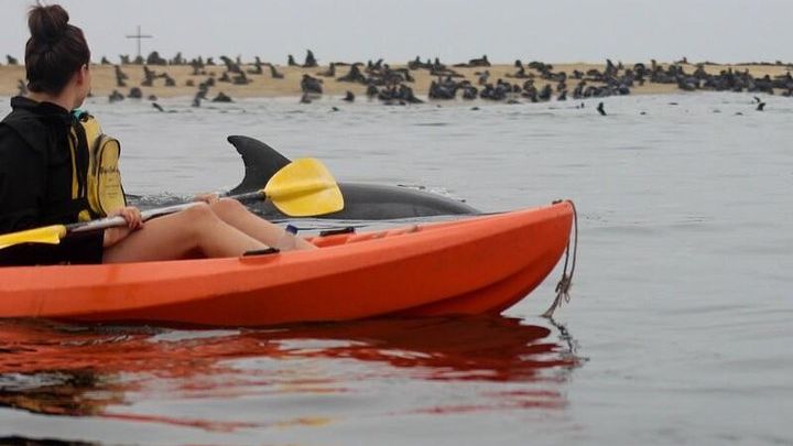 Kayaking and Sandwich Habour Guided Day Tour from Walvis Bay