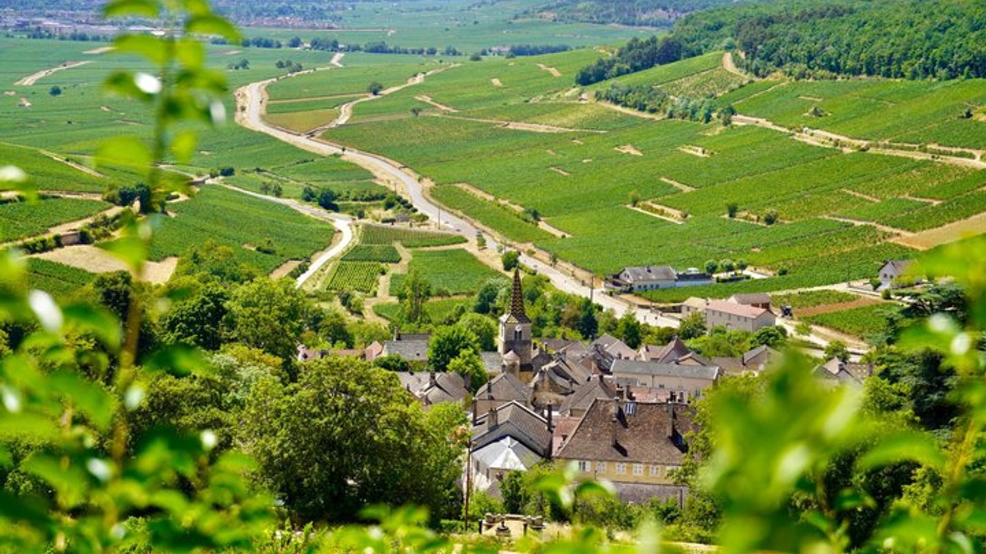 Beaune: Weintour in kleiner Gruppe ab Dijon