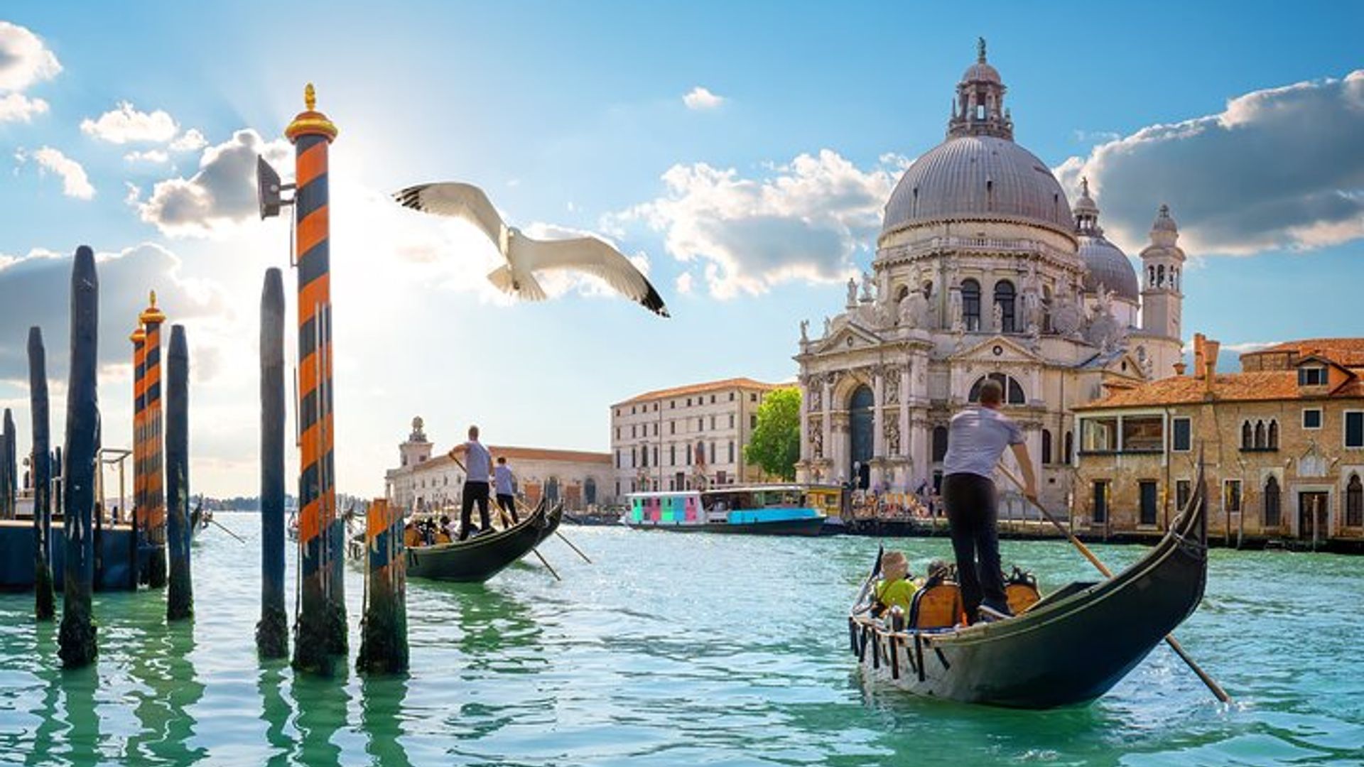 Venice Private Walking Tour with Gondola Ride