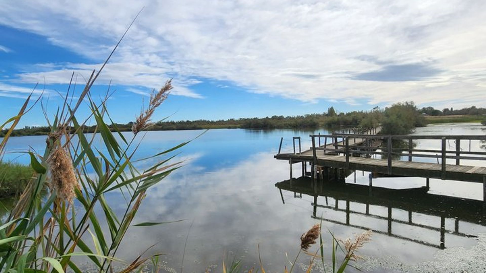 Excursion d'une journée en Camargue au départ de Montpellier