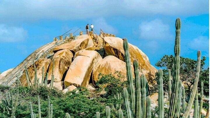 Aruba Morning UTV Tour with Hotel or Port Transfers