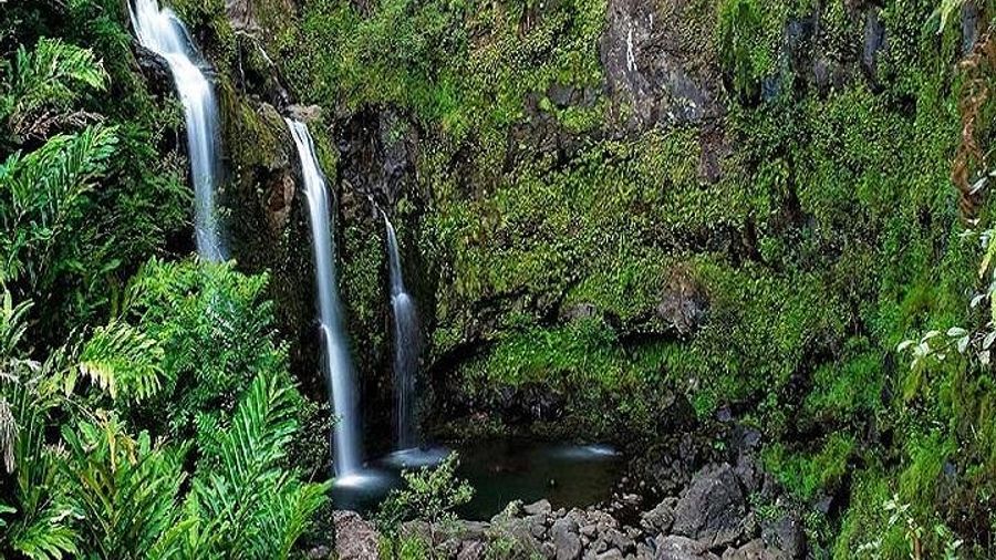 Hana Rainforest and Waterfall Experience from Maui with Lunch