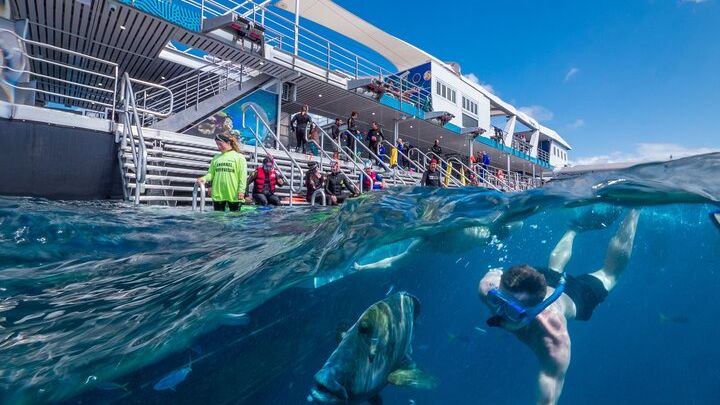 Great Barrier Reef Full-Day Snorkeling Cruise from Cairns