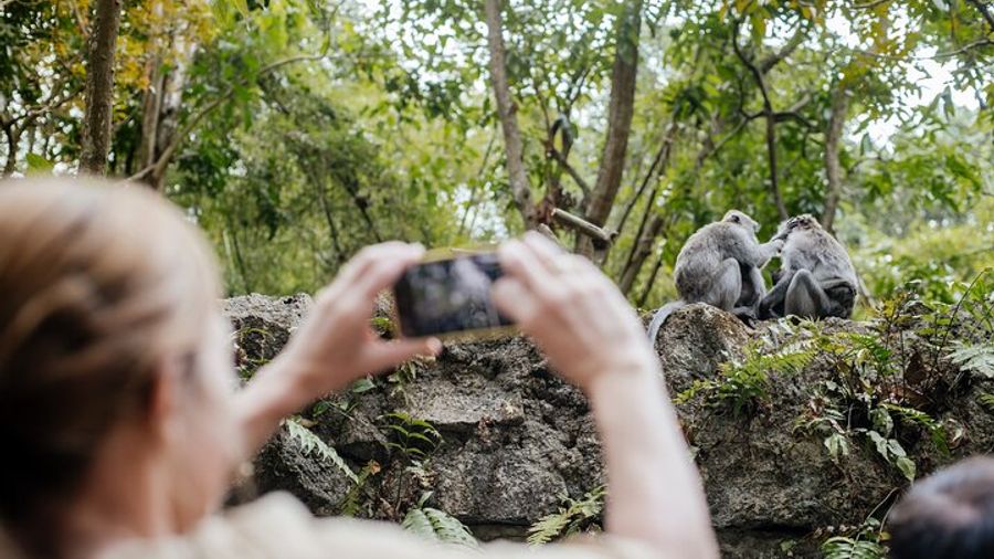 Ubud Small Group Tour: Monkey Forest, Tegalalang Rice Terraces and more