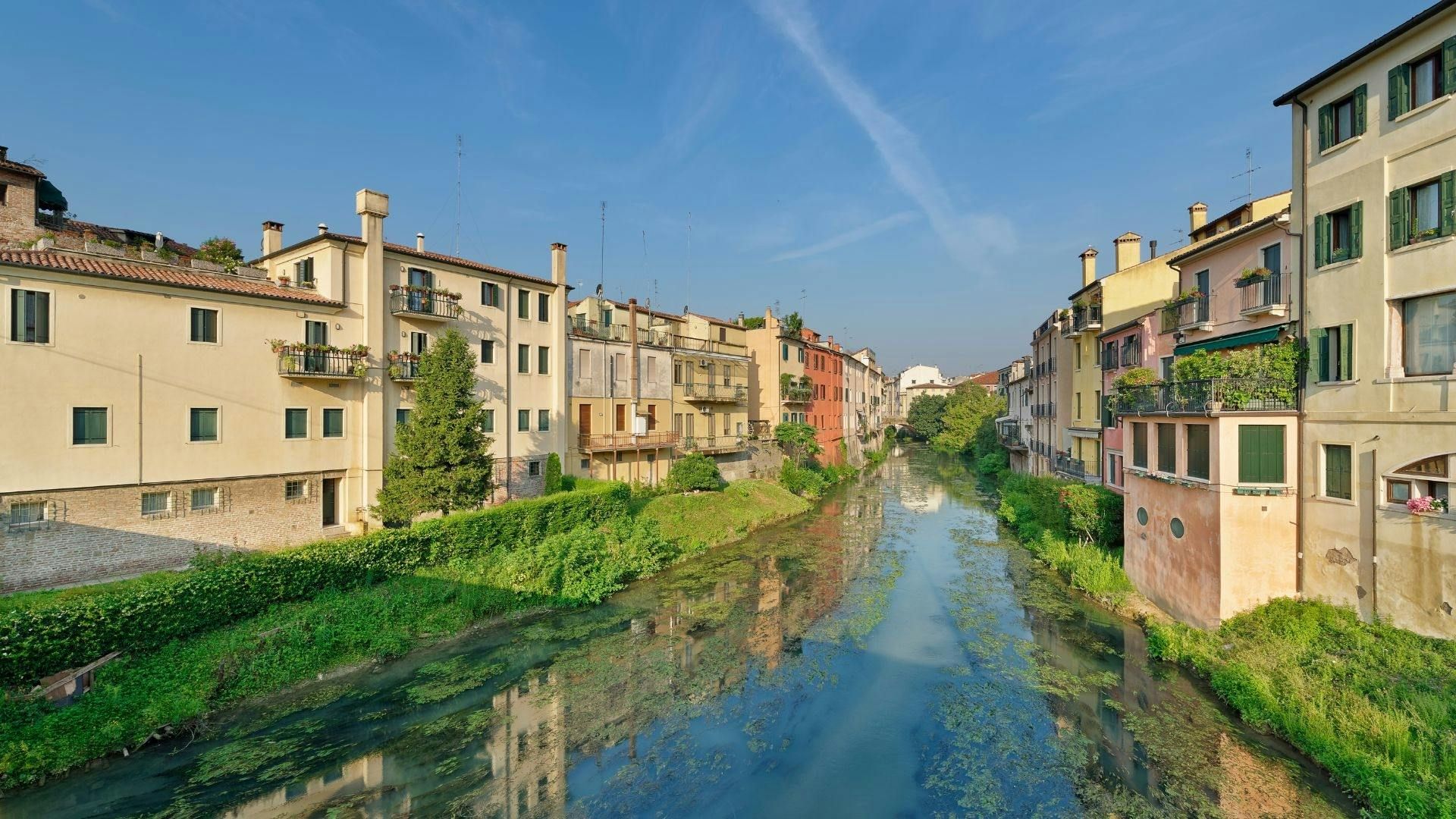 Padova Walking Tour With a Local