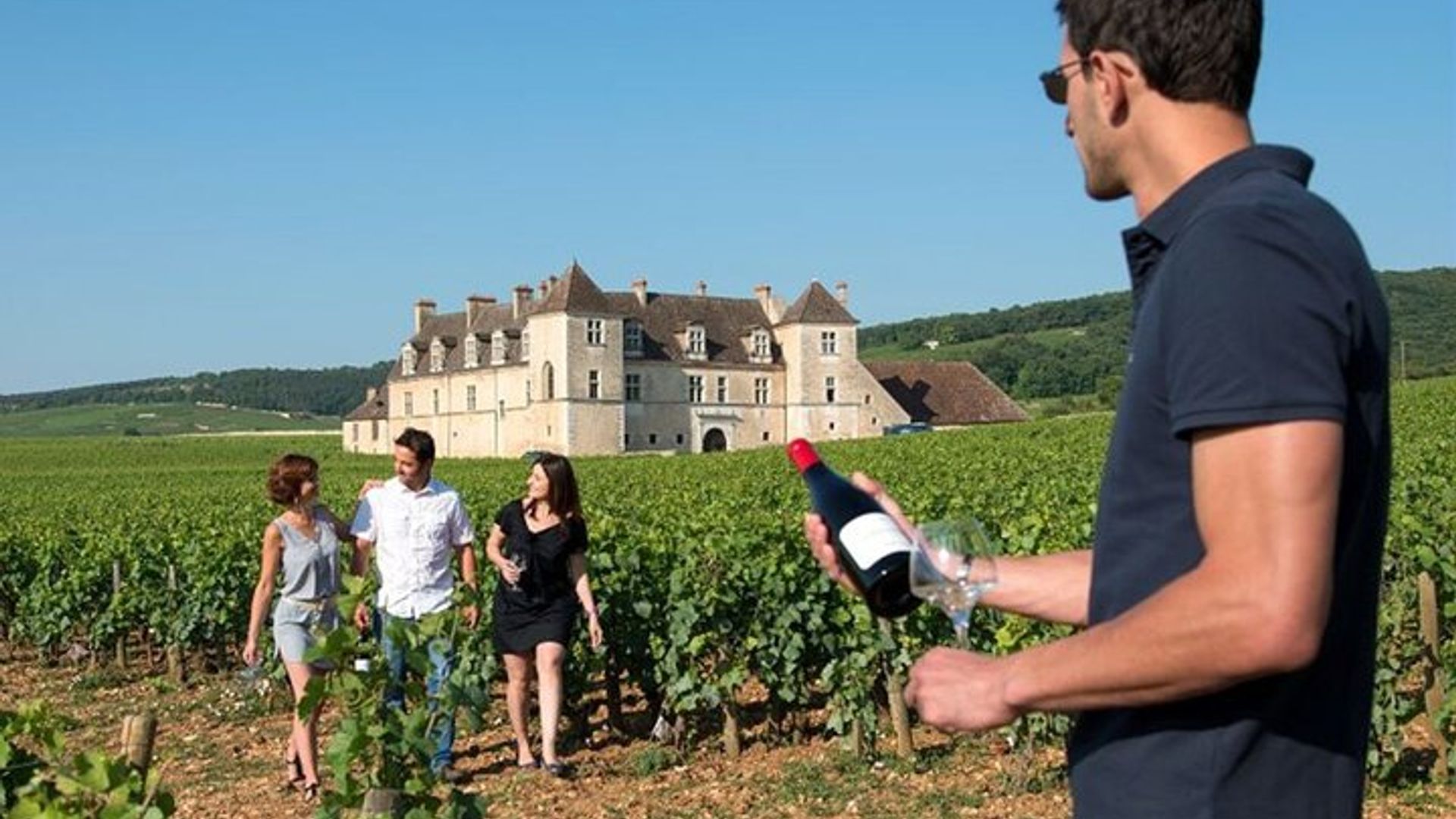 Dijon Wine Tour Côte de Nuits and Côte de Beaune Vineyards