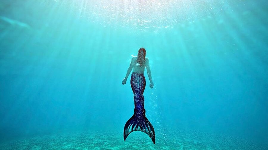 Maui Mermaid Ocean Swimming Lesson