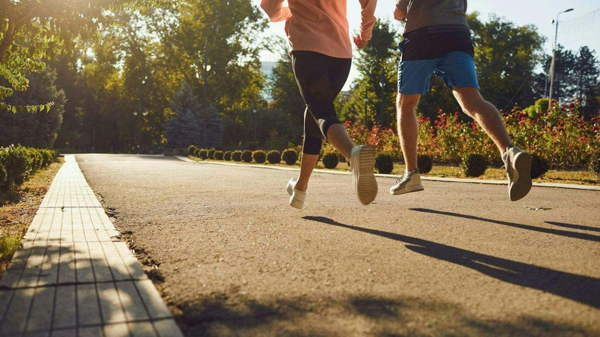 Small-group guided running city tour in Magdeburg