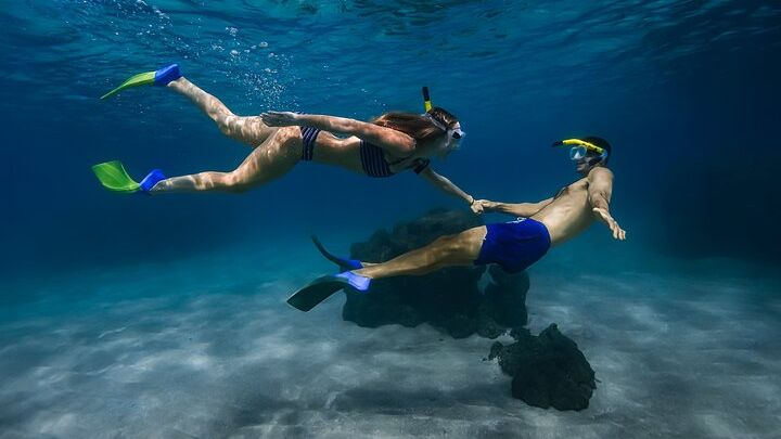 Maui Small-Group Turtle Town Signature Snorkel with Photo and Video