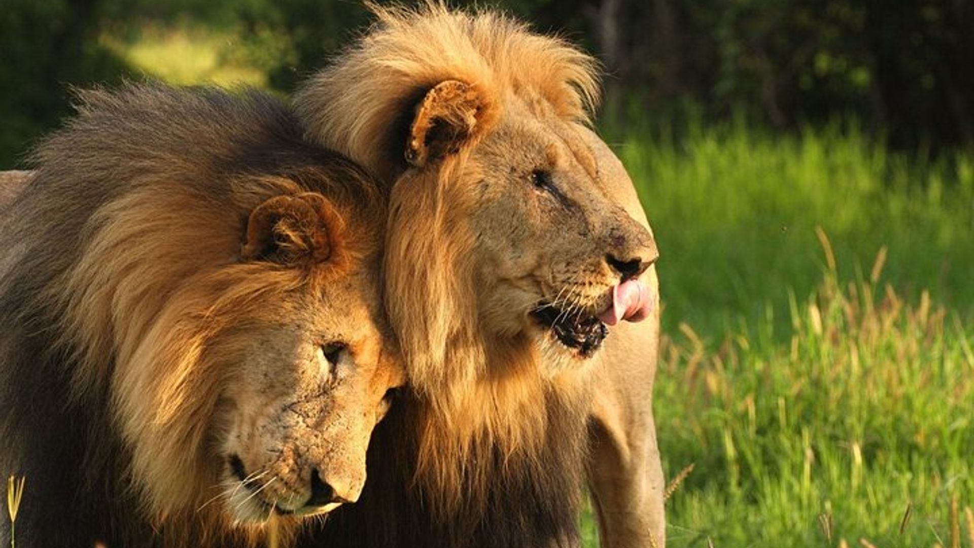 6 Tage Gartenroute Kleingruppentour Fr CapeTown - Abfahrten jeden Tag