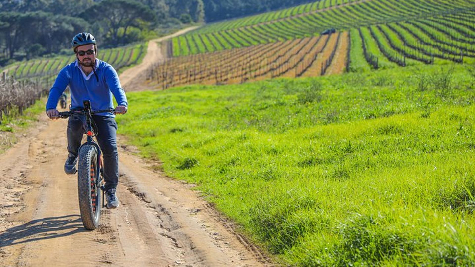Depuis le Cap: visite d'une journée complète de vignobles à vélo électrique et déjeuner