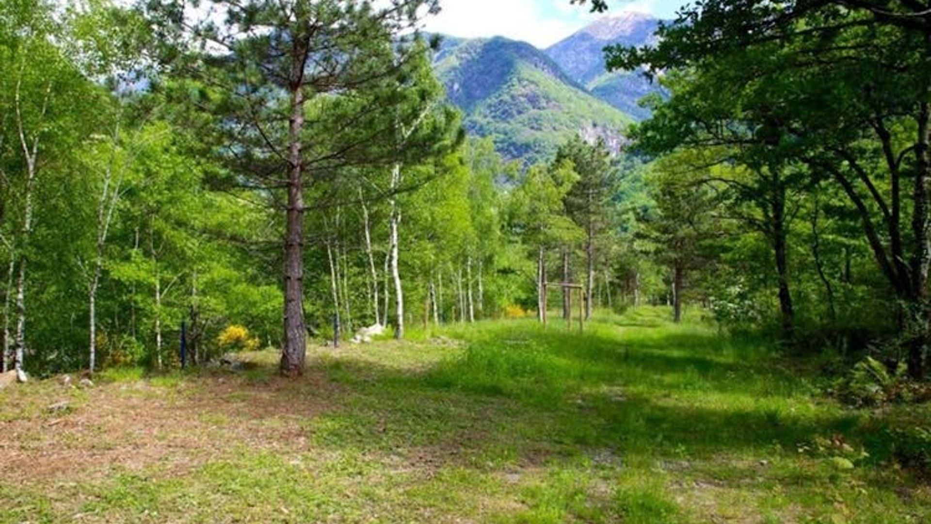 Audio tour through the scenic landscapes of Lodano