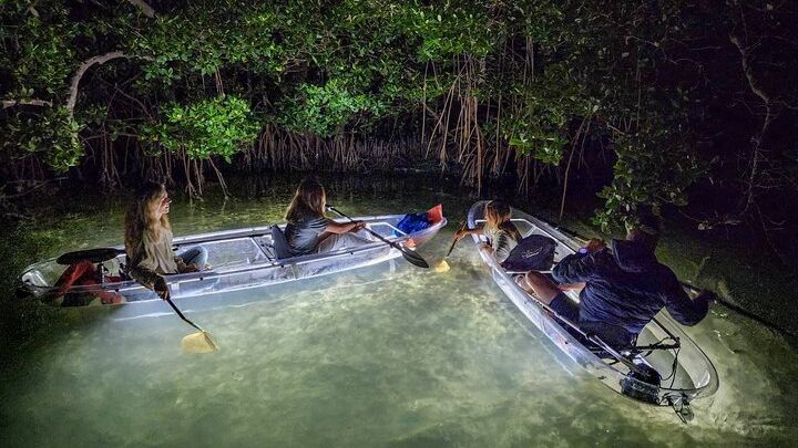 Siesta Key: Nighttime Clear Kayaking Tour with LED Lights