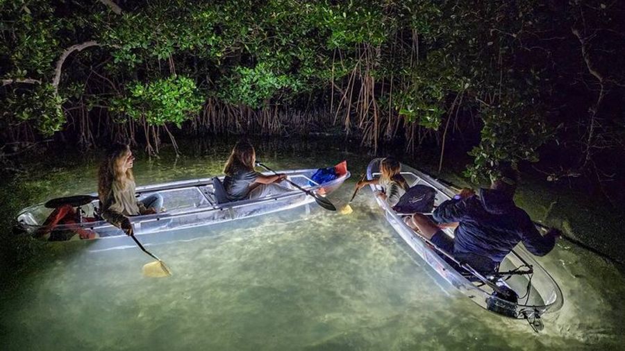 Siesta Key: Nighttime Clear Kayaking Tour with LED Lights