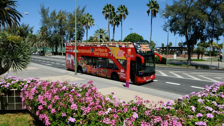 Hop-On Hop-Off Las Palmas de Gran Canaria 24hr Bus