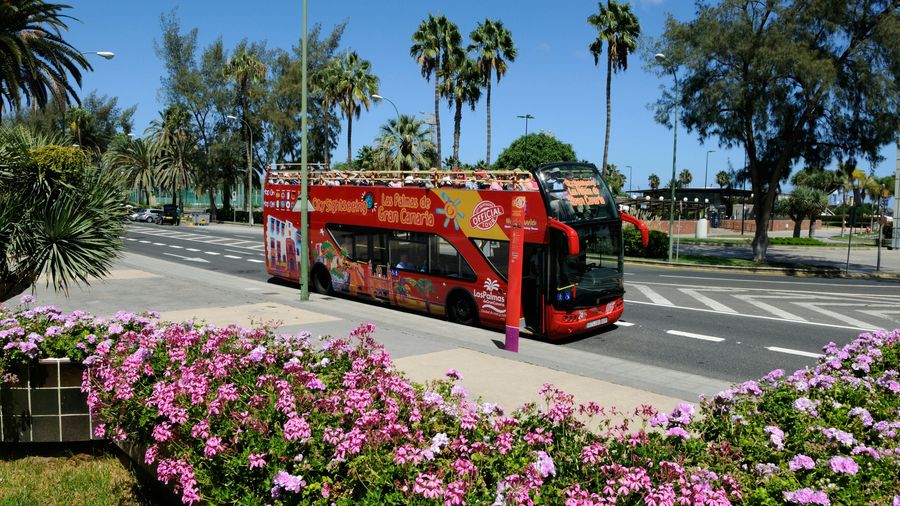 Hop-On Hop-Off Las Palmas de Gran Canaria 24hr Bus