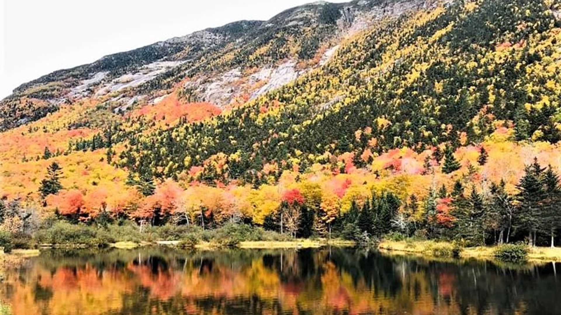 New Hampshire Fall Foliage White Mountains Day Trip, Boston