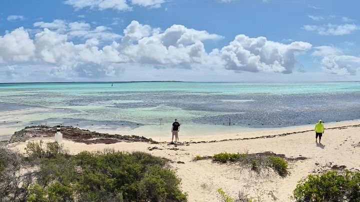 Bonaire Landscapes and Historical Shared Guided Tour